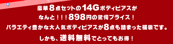 １４Gボディピアス 8点セット福袋