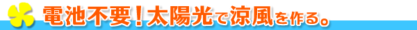 �d�r�s�v�I���z���ŗ��������B