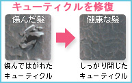 �L���[�e�B�N��
