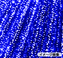 イルミネーションＬＥＤカーテンライト（2×2m）480灯