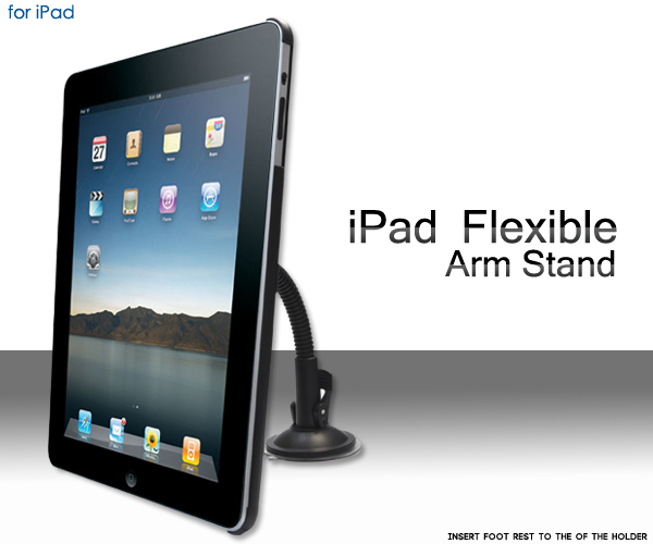 iPad�X�^���h