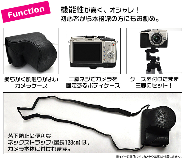 Function/機能