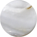 シェルデザインホームボタンデコシール(ホームボタンステッカー) 