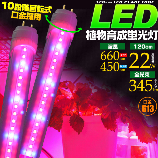 【関連ワード】 LED蛍光灯 植物育成 蛍光灯 120cm 40W形 消費電力22W 口金Ｇ13 水耕栽培 ランプ 栽培 直管型 LED LED植物育成ライト プラントライト グロー式工事不要 室内栽