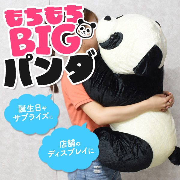 パンダ ぬいぐるみ 40cm 中古ぬいぐるみ パンダ 40cm ぬいぐるみ アドベンチャーワールド限定