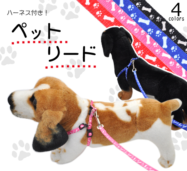 4色　ペットリード