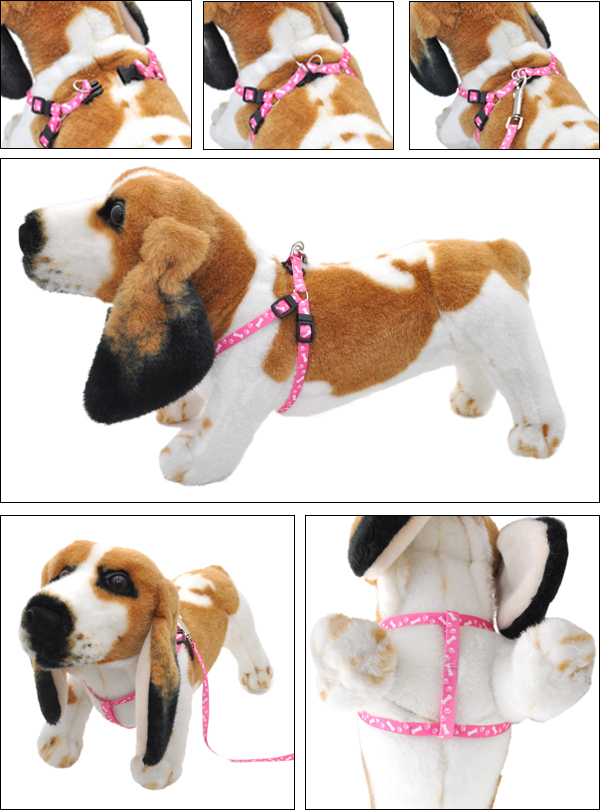 4色　ペットリード