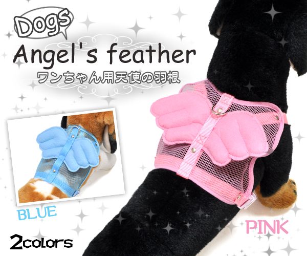 犬用天使の羽根