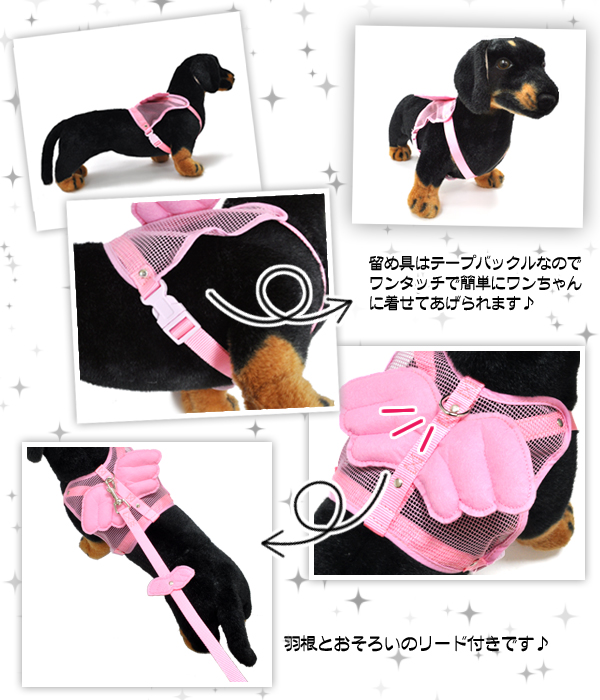犬用天使の羽根