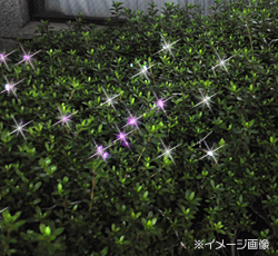 ソーラーイルミネーションＬＥＤライト(ピンク＆ホワイト)　100灯