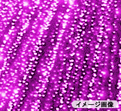 ソーラーイルミネーショＬＥＤカーテンライト（1.8&times;2m）