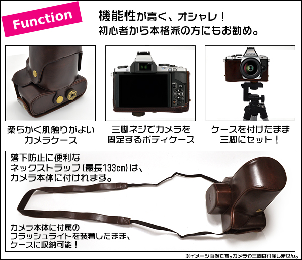 Function/機能