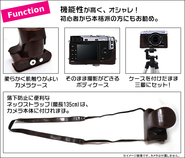 Function/機能