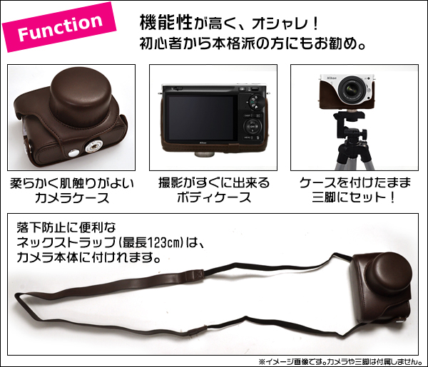 Function/機能