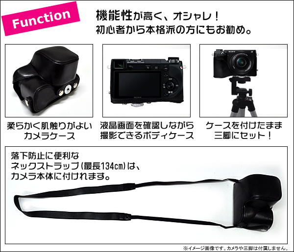 Function/機能
