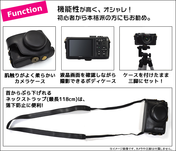 Function/機能