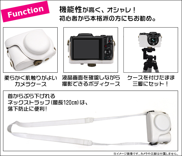 Function/機能
