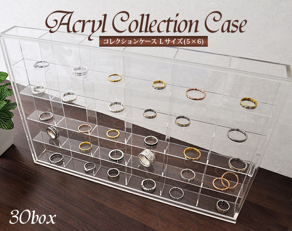 コレクションケースLサイズ(5×6ボックス)
