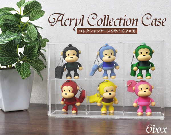 コレクションケースSサイズ(2×3ボックス)