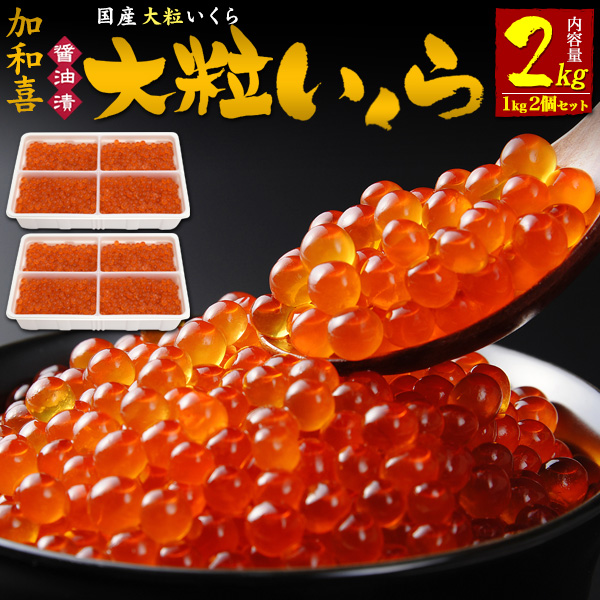 送料無料 加和喜 いくら 1㎏×2 大粒タイプ 2特 | すべての商品 | プラタ オンラインショップ